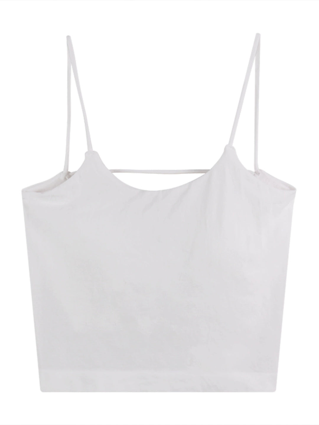 Padded Backless Halter Cami Top – Sexy Korean Summer Style (Available in 7 Colors)